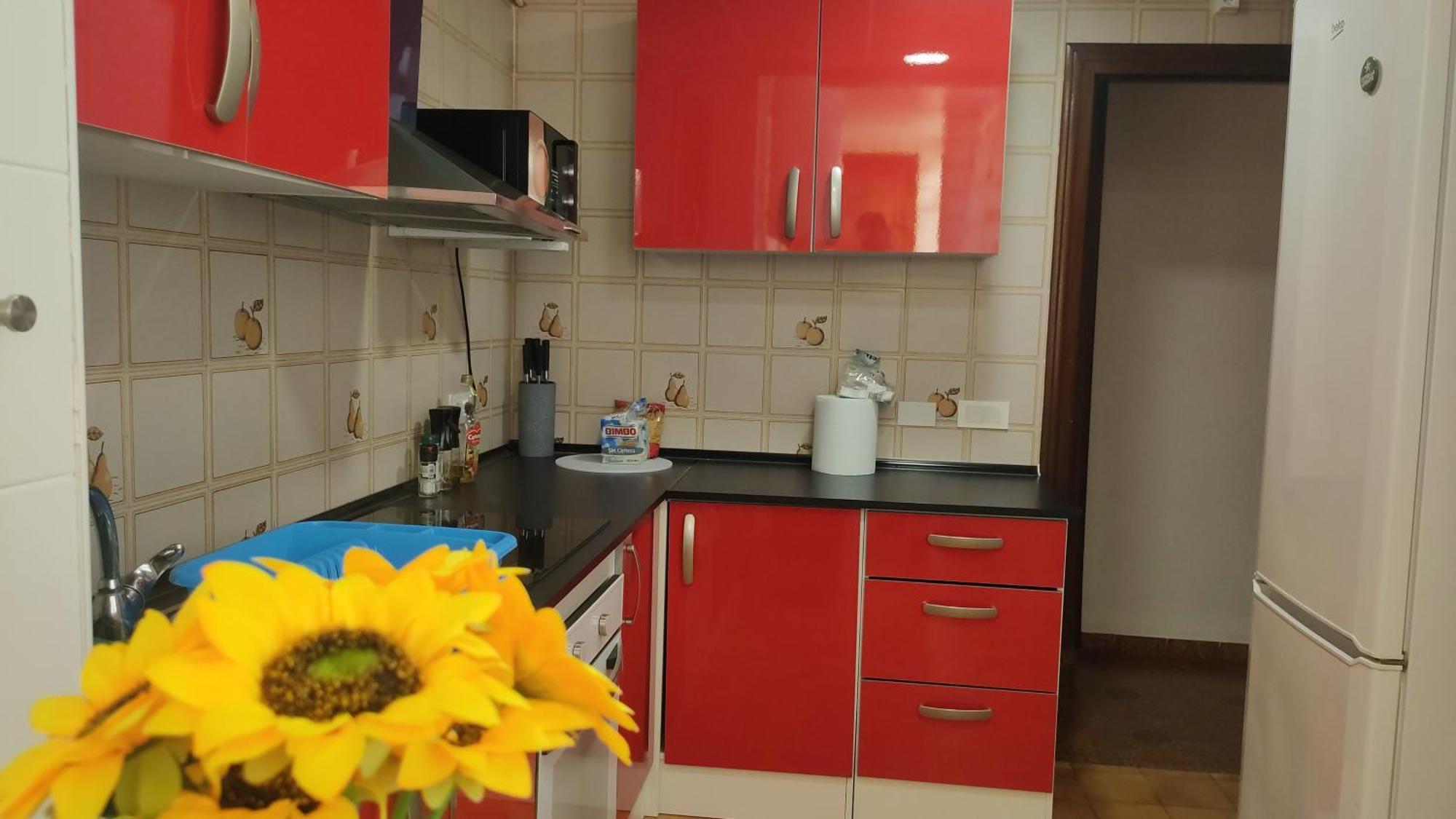 Big Penthouse For 10 Per Apartment Torrevieja Exterior foto